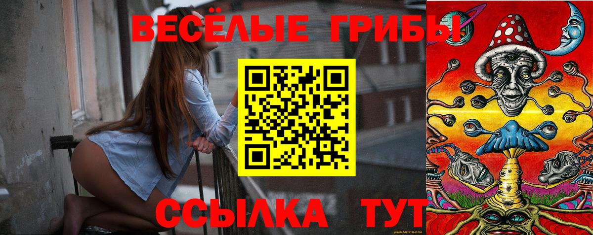 Брянск  Галлюциногенные грибы Magic Shrooms  Псилоцибиновые грибы ЛСД  Вход с VPN 